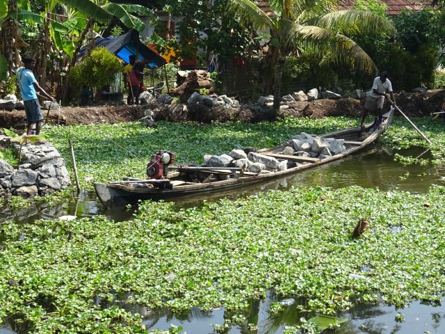 Alleppey